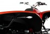 Crazy Orange 001