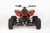 Crazy Orange 009