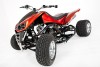 Crazy Orange 016