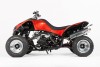 Crazy Orange 027