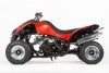 Crazy Orange 028